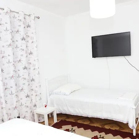 Apartment Renata